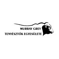 Murray Grey Tenyésztők Egyesülete
